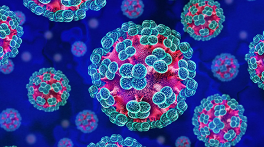 immagine al microscopio di una specie di Hantavirus