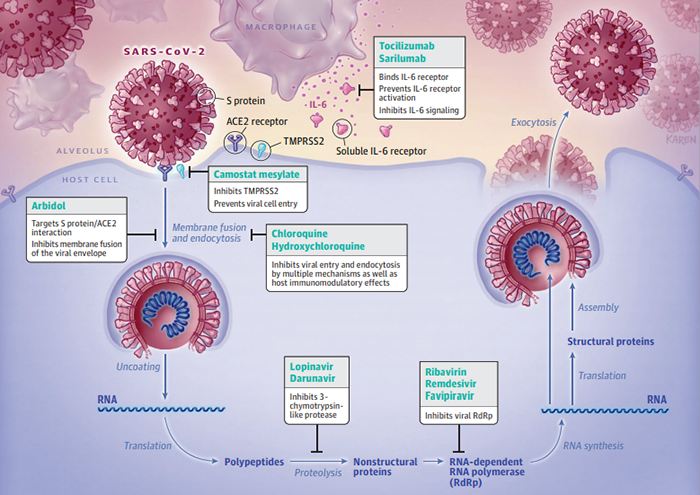 Nuovo coronavirus: il punto sulle terapie in uso