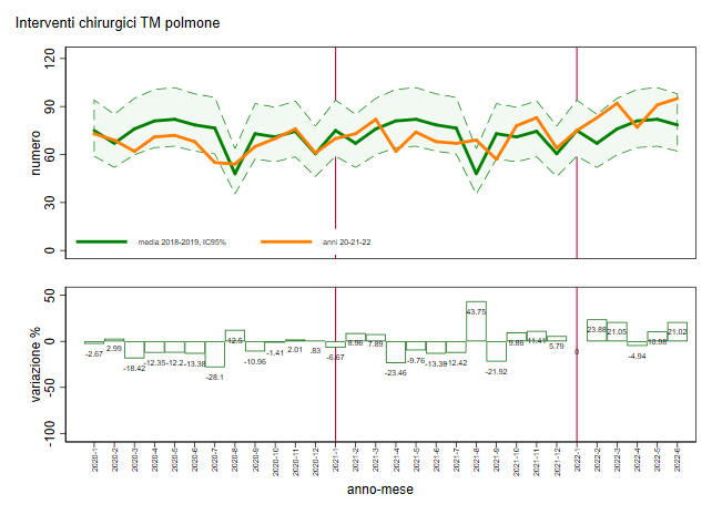 fig 1g TM polmone