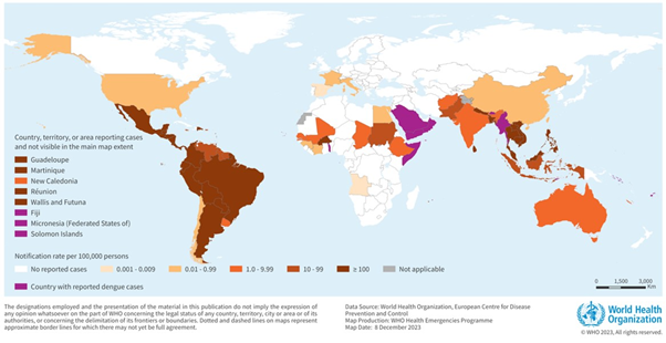 fig1 approf Dengue