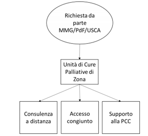 cure palliative figura 1