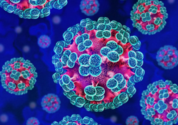 immagine al microscopio di una specie di Hantavirus
